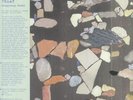 MID AIR THIEF - Gongjoong Doduk - Vinyl (LP)