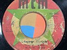 roots reggae 7” NATHAN SKYERS Reggae Uptight  Mp3 MCM Dub Instro Jamaica