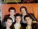 LOS CAMINANTES LP /  CADA DIA MEJOR / vinyl record 33 rom