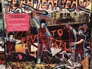 ***THE YEAH YEAH YEAHS FEVER TO TELL LP PICTURE DISC VINYL***