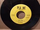 THE OCEANS she's not there / abilene PLA ME 804B rare 60s PUNK killer GARAGE 45