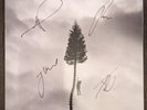 Manchester Orchestra A Black Mile To The Surface Signed Vinyl LP Record