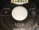 BEACH BOYS   SURFIN (US ORIGINAL 7  MegaRare   CANDIX 331   )