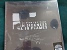 The Front Bottoms In Sickness and in Flames Vinyl Record