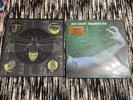 jerry cantrell brighten & degradation trip vinyl LP