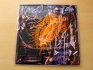 EX/EX   Loop/Sonancy/2022 LP + Bonus 12