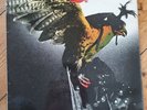 Budgie - In For The Kill - Original Vinyl LP -MCF2546