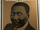 MUDDY WATERS The Chess Box P-Vine PLP-6040-51 NM/EX 12 LPs