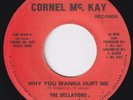 DELLATIONS Why You Wanna Hurt Me RARE Chicago sweet soul 45 modern soul LISTEN