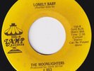 MOONLIGHTERS Lonely Baby RARE  northern soul 45 FABULOUS Right On Brother FUNK