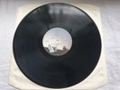 KATE BUSH  NEVER FOREVER  Original UK  Press LP *MINT-  COPY*