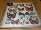 Emiliana Torrini – Rarities (4 LP Set 2011) NEW & Sealed