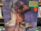 THE ROCHES - We Three Kings (MCA) [VINYL, NEW]