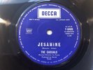 The Casuals- Rare Aussie Decca 45  