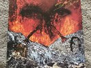 The Only Ones album - Even Serpents Shine