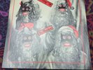 The Residents - Santa Dog '78 7