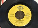 Rare 1974 45 RPM Sweet Home Alabama Lynyrd Skynyrd 7” Tested Songs Of The South