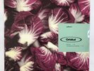 Orbital Radiccio 1 Vinyl Record 12” 1992