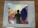 A Day To Remember - Common Courtesy Lmited Edition “Shark Attack” 2XLP
