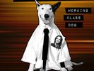 Rick Springfield WORKING CLASS DOG Limited Edition NEW GREEN COLORED VINYL LP