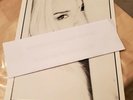 VERY RARE RAIANA PAIGE  PRESS  PHOTO  FREESTYLE