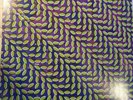 Animal Collective ‎- Merriweather Post Pavilion 2 LP 180 Gram Vinyl Album RECORD