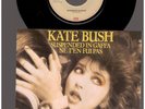 Kate Bush - Suspended in Gaffa - Ne Tèn Fui Pas - 7 Inch Vinyl Single - HOLLAND