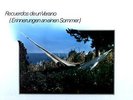 The Fisherman's Walkband - Recuerdos De Un Verano LP (VG+/VG) .