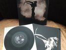 Depeche Mode Walking in my shoes, Vinyl LP Maxi, Rarität, 1993 Mute records Ltd.
