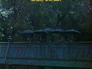 Nucleus Under the Sun (Vinyl) 12