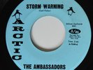 45 Northern Soul AMBASSADORS Storm Warning ARCTIC VG++/VG+ HEAR