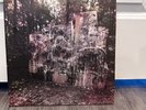 LA DISPUTE - WIldlife, Limited 2LP 500 Dark Yellow / Clear