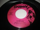 Halloween Record 45, Skipper Ryle, Wolf Gal Rocker, Excellent