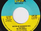 WE THE PEOPLE Making My Daydream Real NORTHERN SOUL 45 modern crossover HEAR