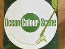 Moseley Shoals: Live at the Hydro by Ocean Colour Scene Limited White Vinyl