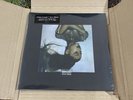 Limited Edition Ariana Grande Thank U, Next Pink/Clear Split Vinyl
