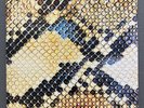 The Amazing Snakeheads - Amphetamine Ballads Vinyl Album