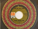Pop Psych 45 ROGER NICHOLS TRIO Our Day Will Come/Don't Go Breaking My Heart A&M
