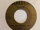 Rare Bay Area Garage 45 FUGITIVE'S IV You Are The One I Love/Blue Fugitive HEAR