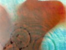 LP Pink Floyd „Meddle“  Original Master Recording MFSL 1-190 (1984)