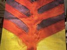 Show Your Bones by Yeah Yeah Yeahs (Vinyl Record, 2006) VG