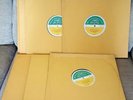 THE BEATLES STORY / BBC TRANSCRIPTION SERVICE / 9 x Lps