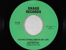 Crossover Soul 45 - Guitar Ray - You're Gonna Wreck My Life - Shagg - mp3