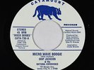 Funk Disco 45 - Skip Jackson - Micro Wave Boogie - Catamount - VG+ mp3
