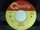 Mega rare Canadian rockabilly 45 by Guido D'Amico 