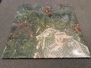 Nickelus F  Trick Dice LP SEALED Lil Ugly Mane Death Grips Run the Jewels