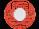 Modern Soul 45 - Chosen Few Band - What It Takes To Live - BR - VG++ mp3