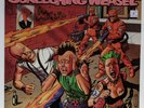 Screeching Weasel Teen Punks in Heat Vinyl Panic Button Lookout w/ insert