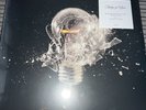 KINGS OF LEON: BECAUSE OF THE TIMES (LP vinyl *BRAND NEW*.)