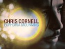 CORNELL, Chris - Euphoria Mourning - Vinyl (LP)